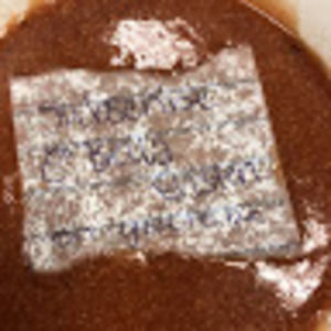 Meet your Posher, Bella